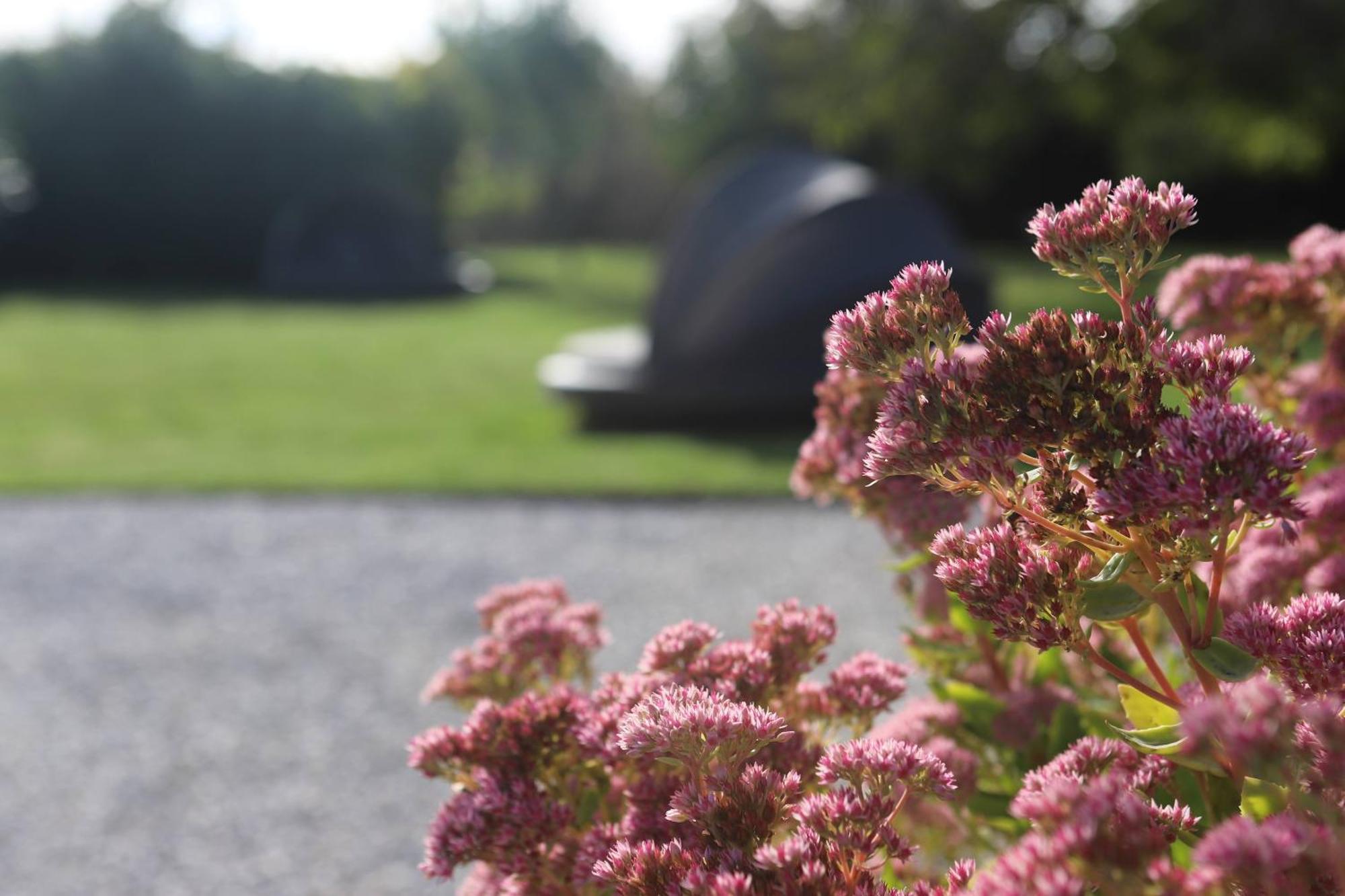 Bed and Breakfast The Secret Garden - Keszthely Exterior foto