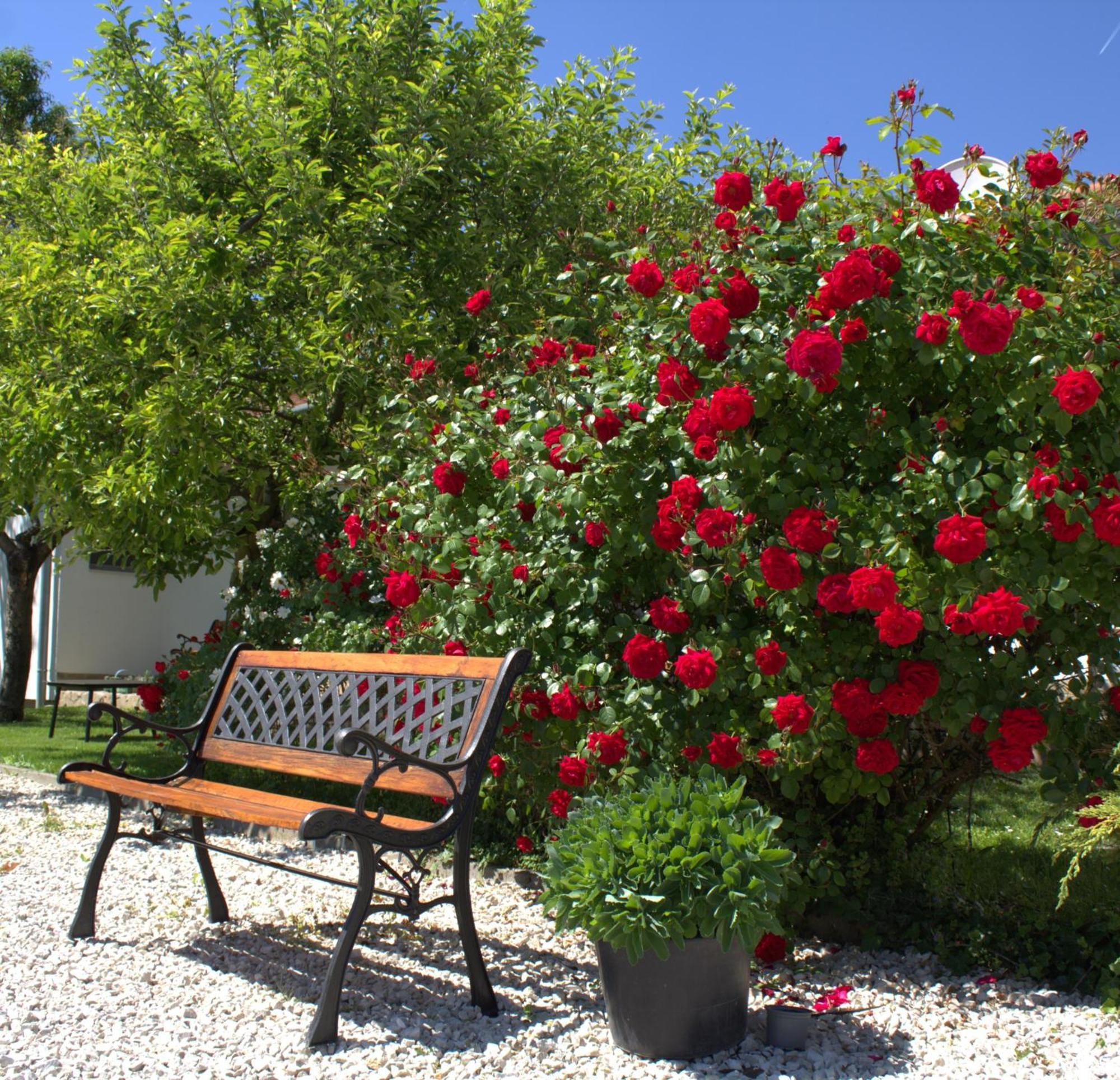 Bed and Breakfast The Secret Garden - Keszthely Exterior foto